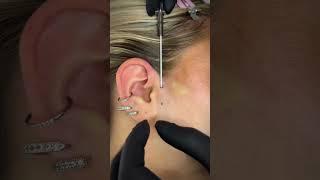 Surface Tragus Piercing  Unique & Bold Ear Piercing Experience!