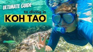 BEST SNORKELING spots in KOH TAO (is it worth it?) | THAILAND 2023
