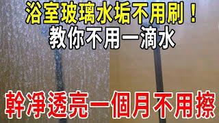 原來浴室玻璃水垢『完全不用刷』！教你不用一滴水，去除頑固水垢！玻璃立刻乾凈透亮，一個月不用擦