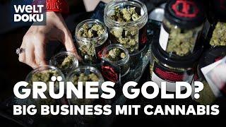 CANNABIS IN KALIFORNIEN: Humboldt County und der Preis der Legalisierung Marihuana | WELT Doku