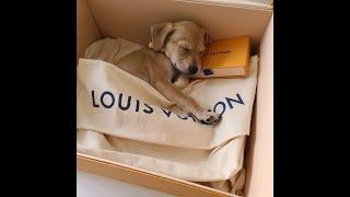 My Cutest LV Unboxing Video Ever! Meet My  Loui!