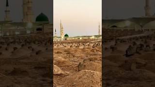 aye Kash madeene me mujhe ko maut yu aaye #islam #status #shorts #madina #ytshorts #trending