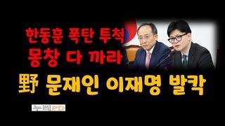 한동훈 작심하고 돌직구/문재인 이재명 여의도 발칵/누리pd-tv