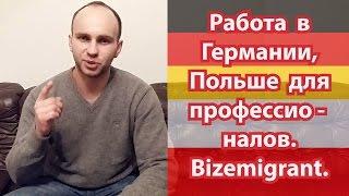 Работа в Германии, Польше для профессионалов. / Bizemigrant