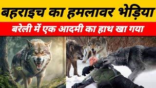 Bahraich Wolf Attack : बहराइच के बाद अब बरेली से भी भेड़िए के हमले की घटना सामने आ रही है |#wolfnews