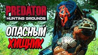 Predator: Hunting Grounds — ОПАСНЫЙ ХИЩНИК В ДЖУНГЛЯХ! СПЕЦНАЗОВЦЫ НА ОХОТЕ!