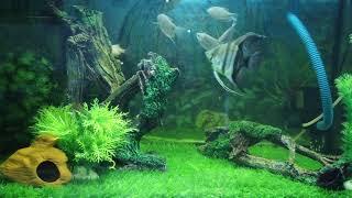 4K AQUASCAPE VIDEO || MUSIC BY KINA - CAN WE KISS FOREVER?