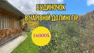 БУДИНОЧОК  В РАЙСЬКОМУ МІСЦІ ПРИКАРПАТТЯ