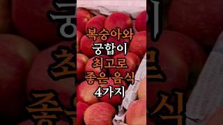 복숭아와 궁합이 최고로 좋은 음식 4가지