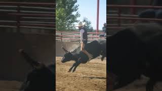 Bullriding #ecproduction #charrería #explore #shorts #trending #mexico #cowboys