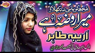 RAMZAAN SPECIAL NAAT 2019 MERA ROZA HAI AREEBA TAHIR