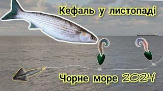 Риболовля на КЕФАЛЬ в листопаді.Рибалка Чорне море 2024.