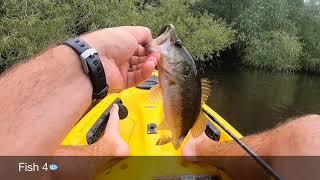 Kayaking on Ohoopee Coach Woodward