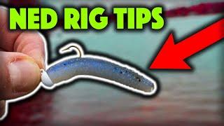 Can't Catch Fish On The NED RIG? Try These Tips!