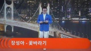 가수장성아 - 꽃바라기