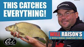 Catch All The Fish In Your Peg On Chopped Worm, Caster & Groundbait | Will Raison Fishing