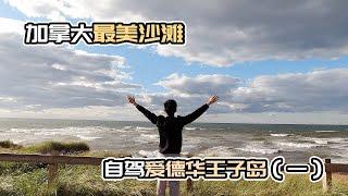 加拿大最美沙滩。自驾游加拿大「爱德华王子岛」VLOG（一）| Prince Edward Island | Zander ming