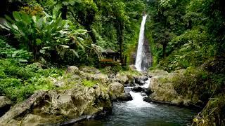 Gitgit Waterfall in Buleleng Regency of Bali 4k. Relaxing Waterfall Sounds 10 hours in 4k UHD.