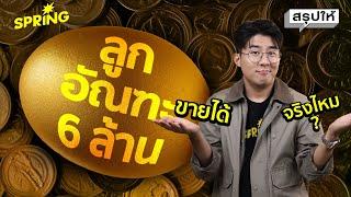 ลูกอัณฑะข้างละ 6 ล้าน ขายได้ไหม เอาไปทำอะไร ? | SPRiNG สรุปให้