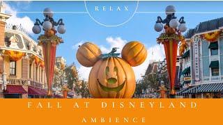 Fall At Disneyland Ambience 