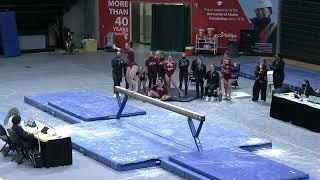 Emma Lavelle (Centenary) 2022 Beam