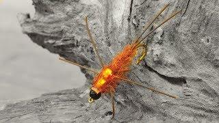 Tying the Carty Stonefly