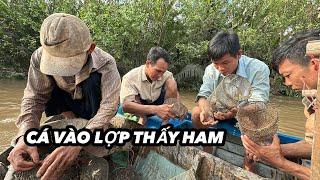 Đặt Lợp Cá Bống Dừa Bằng Mồi Độc Lạ Cá Vào Lợp Thấy Ham | Bông Lúa Đồng Tháp