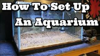 How To Set Up An Aquarium Fish Tank