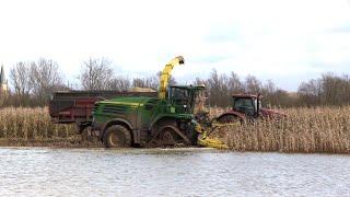 Maïs 2024 | Maize harvest under wet soil conditions | Dezeure hooglossers  JD 8600 on tracks | Fendt