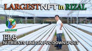 Largest NFT in Rizal EP 8 (Nutrients Line on PVC Downspout)