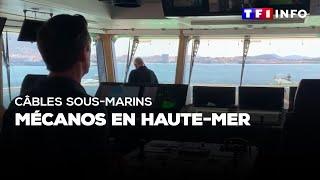 Câbles sous-marins : mécanos en haute mer