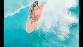 SOUNDTRACKS FOR SURF TRIPS,WAVEFORMS #3 - DJ MUTTLEY