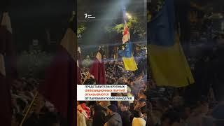 Митинг у здания парламента Грузии