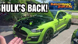 Omg HULK’s BACK! Emotional Reunion w/ 1200hp 2020 GT500! *Mustang Week 23