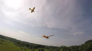 Cruise with Cubs