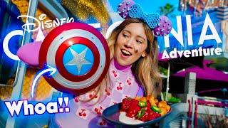 DISNEY Brought The Heat With These Spicy Wings And NEW Captain America Shield | Disneyland Resort