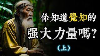 你了解觉知的强大力量吗？掌握觉知，解决99%的生活问题! (上)