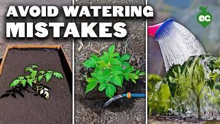 5 Watering Mistakes You're Probably Making