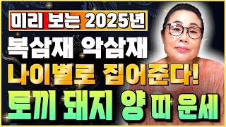 2025년 복삼재 을사년 복삼재 띠는 과연 어떤 띠일까!? 2025년 을사년 복삼재 알려드립니다! (돼지띠,토끼띠,양띠) / 신점 / 용한점집 / 무당