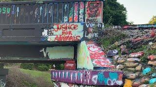 The Graffiti Bridge goes Vegan