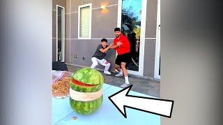 Exploding Watermelon With Rubber Bands! #shorts