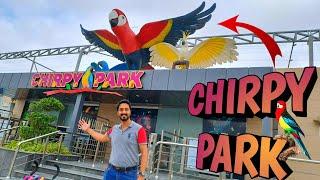 Chirpy Park Bahria Town Karachi | Visit and Discover the Exotic Birds