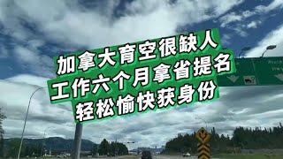 加拿大育空很缺人，工作六个月拿省提名，轻松愉快获得加拿大移民身份！