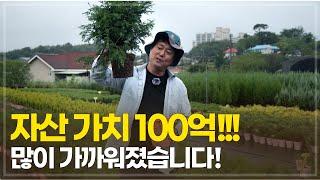 묘목으로 100억 만들기! 코로나로 시작된 포트재배, 그 놀라운 결과!