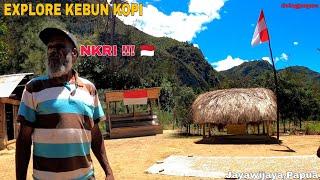 EXPLORE PAPUA,KEBUN KOPI #papua #wamena #kopi