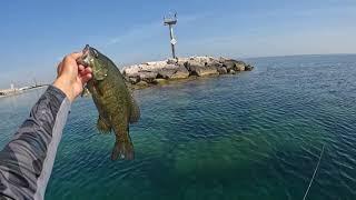 Summer Smallmouth Bass Fishing at Lake Michigan (They Were HUNGRY!)