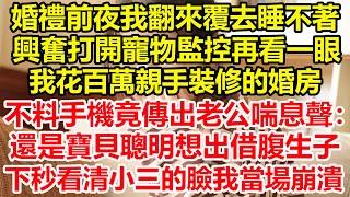 婚禮前夜我翻來覆去睡不著，興奮打開寵物監控再看一眼我花百萬親手裝修的婚房，不料手機竟傳出老公喘息聲：還是寶貝聰明想出借腹生子，下秒看清小三的臉我當場崩潰#心寄奇旅#情感#故事#彩礼#花開富貴#深夜淺讀