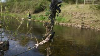 Litter picking on the River Tame with Mersey Rivers Trust