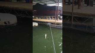Finicky Post Spawn Bass on Lake Lanier
