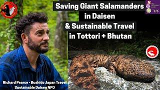 Save Giant Salamanders for Sustainable Daisen - Tottori, Japan | Richard Pearce